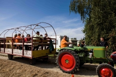 150913_Schmiechen_Schleppertreffen_025