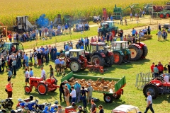 2018_09_14-16 Schleppertreffen Schmiechen  1086