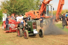 2018_09_14-16 Schleppertreffen Schmiechen  470